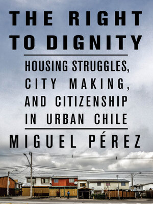 cover image of The Right to Dignity